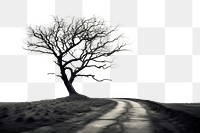 PNG Tree tree landscape outdoors. AI generated Image by rawpixel.