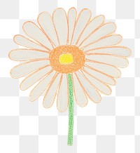 PNG A daisy pattern flower petal. AI generated Image by rawpixel.