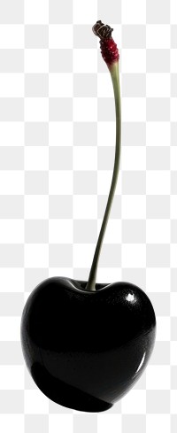 PNG A cherry on a white table plant black freshness. AI generated Image by rawpixel.
