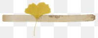 PNG  Yellow ginkgo leaf plant petal white background. AI generated Image by rawpixel.