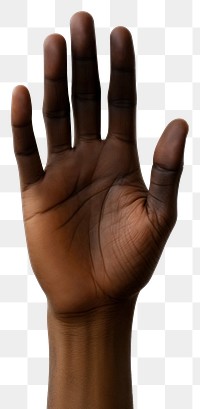 PNG Black hand finger adult white background. AI generated Image by rawpixel.