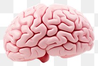 PNG Brain white background outdoors medical. AI generated Image by rawpixel.