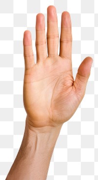 PNG Hand finger white background gesturing. AI generated Image by rawpixel.