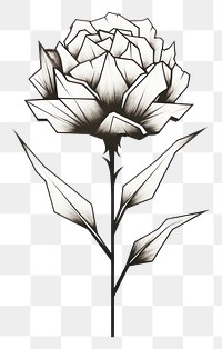 PNG Carnation flower drawing sketch white. AI generated Image by rawpixel.