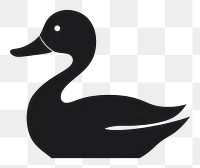 PNG Duck animal black bird. AI generated Image by rawpixel.