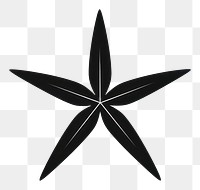 PNG Starfish symbol black white background. AI generated Image by rawpixel.