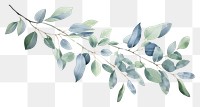 PNG Eucalyptus leaves pattern plant leaf. AI generated Image by rawpixel.