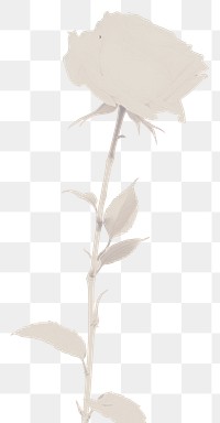 PNG White rose flower sketch plant. AI generated Image by rawpixel.