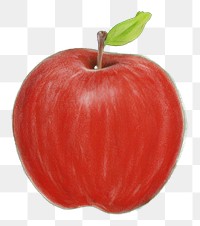 PNG Apple fruit green board. AI generated Image by rawpixel.