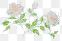 PNG Floral painting blossom pattern. AI generated Image by rawpixel.