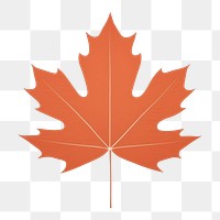 PNG  Abstract maple leaf plant blackboard pattern. AI generated Image by rawpixel.