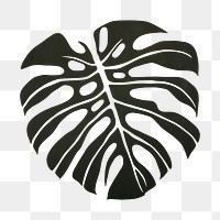 PNG  Abstract monstera stencil plant leaf. AI generated Image by rawpixel.