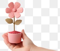 PNG Hand holding flower petal plant white background. AI generated Image by rawpixel.