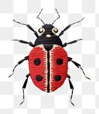 PNG Bug animal insect invertebrate. AI generated Image by rawpixel.