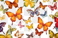 PNG Butterflies butterfly wallpaper animal. AI generated Image by rawpixel.