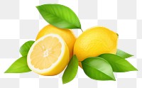 PNG  Lemon citrus fruit grapefruit plant green. AI generated Image by rawpixel.