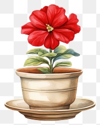 PNG Single red flower pot with saucer plant petal white background. AI generated Image by rawpixel.