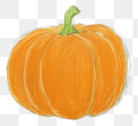 PNG Pumpkin vegetable green plant. AI generated Image by rawpixel.