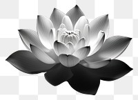 PNG Lotus reflection monochrome flower. AI generated Image by rawpixel.
