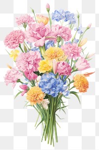 PNG  Bouquet of pastel tulips and carnations flower plant art