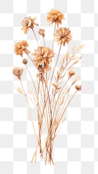 PNG  Brown dried flower bouquet drawing sketch plant. AI generated Image by rawpixel.