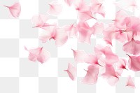 PNG  Pink petals backgrounds flower plant. AI generated Image by rawpixel.