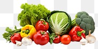 PNG Collection of different vegetables tomato plant food. AI generated Image by rawpixel.