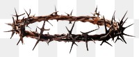 PNG Crown of Thorns wire white background invertebrate