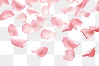 PNG  Rose petals backgrounds flower plant. AI generated Image by rawpixel.