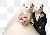 PNG Baby ferret wedding animal bride. AI generated Image by rawpixel.