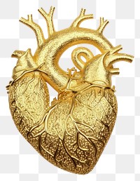 PNG  Medical heart jewelry gold creativity. AI generated Image by rawpixel.