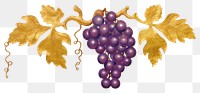 PNG  Grape grapes fruit plant. AI generated Image by rawpixel.