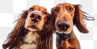 PNG  Long hair hound dog mammal animal. AI generated Image by rawpixel.