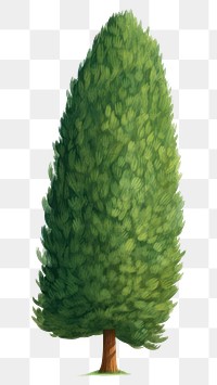 PNG Simple cartoon cypress tree plant fir white background. AI generated Image by rawpixel.