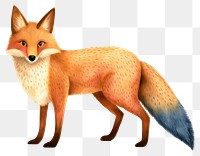 PNG Fox animal mammal white background. 