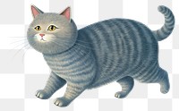 PNG Grey cat mammal animal pet. AI generated Image by rawpixel.
