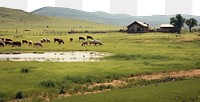 PNG Landscape animal ranch farm. AI generated Image by rawpixel.
