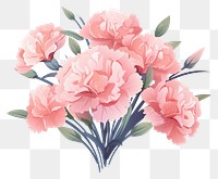 PNG Carnation bouquet flower plant white background. AI generated Image by rawpixel.