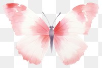 PNG Minimal butterfly animal insect invertebrate. AI generated Image by rawpixel.