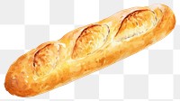 PNG A Freshly baked baguette bread food  