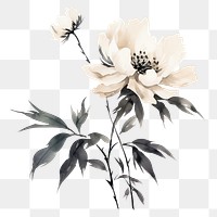 PNG Peony blossom drawing flower. AI generated Image by rawpixel.