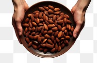 PNG  A plate of roast almonds food seed freshness. AI generated Image by rawpixel.