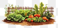 PNG Vegetable garden outdoors nature plant. AI generated Image by rawpixel.