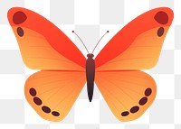 PNG A butterfly insect animal white background. AI generated Image by rawpixel.