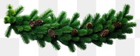 PNG  A Christmas garland from green pine twigs decoration christmas plant. 