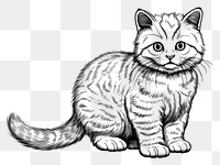 PNG A cute cat sketch drawing animal. AI generated Image by rawpixel.