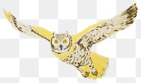 PNG Owl painting animal flying. 