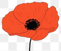 PNG Poppy cartoon flower petal. AI generated Image by rawpixel.
