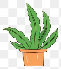 PNG Plant cartoon leaf houseplant. 