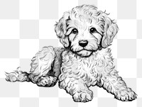 PNG Cute dog sketch drawing animal. AI generated Image by rawpixel.
